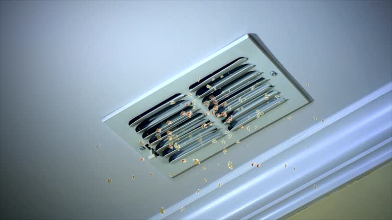 Best Residential Air Duct Cleaning  in Anaheim, CA