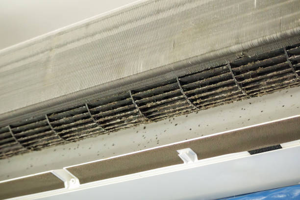 Best Affordable Duct Cleaning Services  in Anaheim, CA